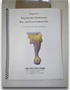 Publication Book