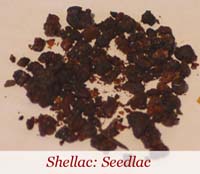 seedlac